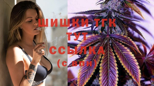 ешки Арсеньев