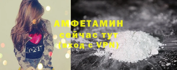 крисы Няндома