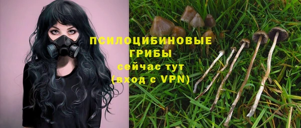 соль курить ск Аркадак