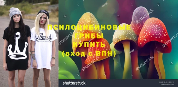 ешки Арсеньев